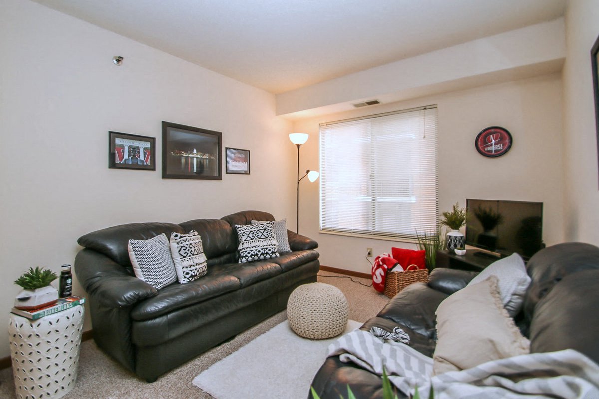 Photos and Video of LaVille in Madison, WI